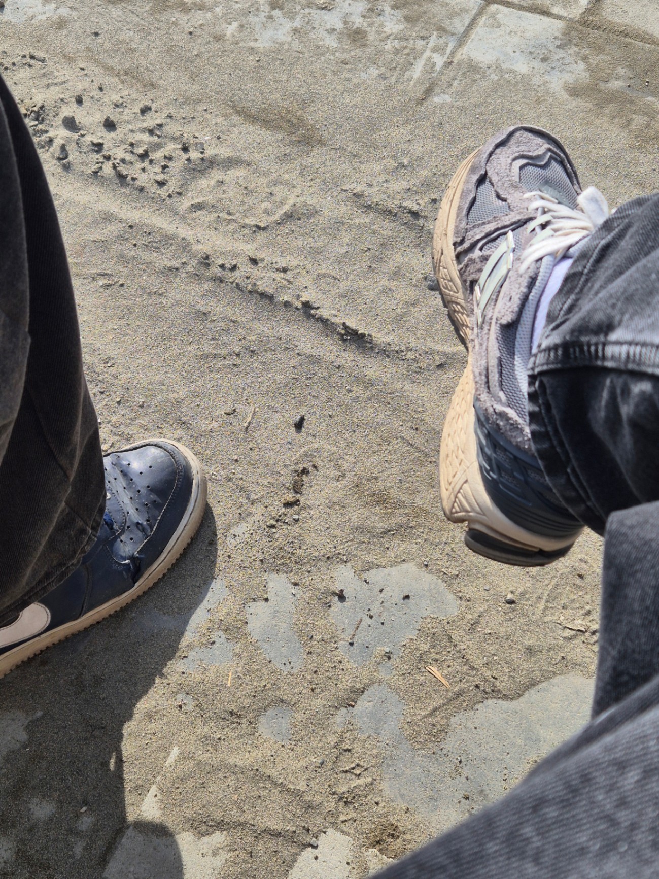 Жоско в сахаре